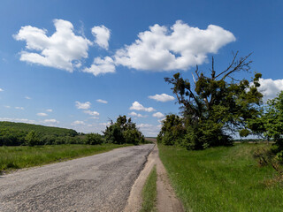 A dirt road in the middle of a grassy field