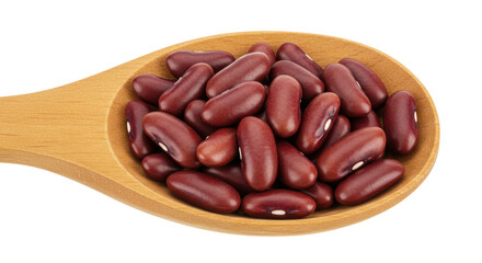 Isolated Red Kidney Beans in Wooden Spoon