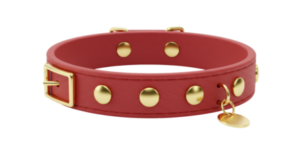 Isolated Dog Collar