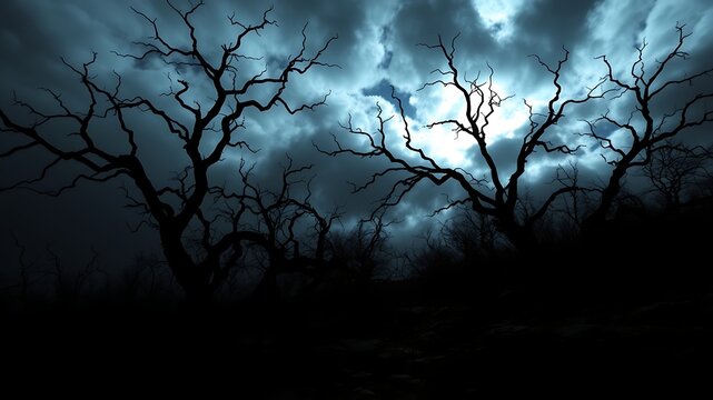 Eerie silhouette of barren trees against dramatic cloudy sky atmosphere - Powered by Adobe