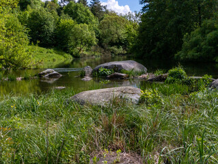 A small river in the middle of a lush green forest
