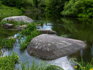 A large rock in the middle of a river surrounded by grass and flowers