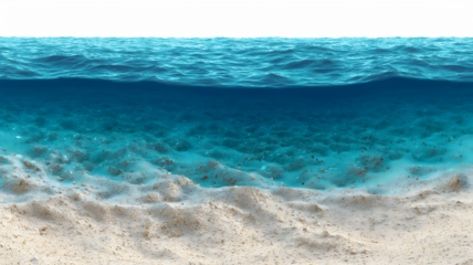 Underwater scene depicting the ocean floor with sandy beach and rippling water surface isolated on white transparent background