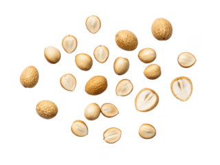 Breadfruit seeds png tropical fruit seeds png exotic tree seeds png edible plant seeds png breadfruit plant png gardening seeds png nutritious fruit seed png transparent background image