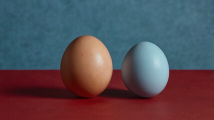 Egg on Red Hemisphere