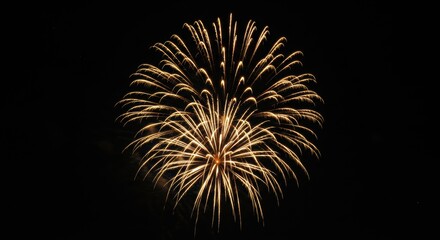 Spectacular long exposure of fireworks exploding in the night sky, creating vibrant bursts of light and color, isolated, close-up