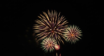 Fototapeta premium Spectacular long exposure of fireworks exploding in the night sky, creating vibrant bursts of light and color
