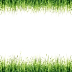Lush green grass creating a vibrant frame for nature's beauty under the clear sky during a sunny day in a serene outdoor setting