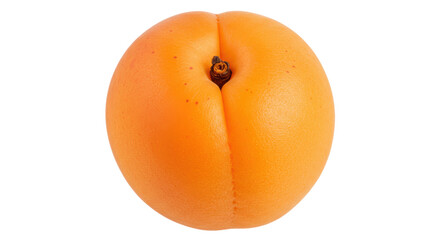Isolated Apricot Fruit