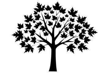 Black and white silhouette of a maple tree