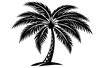 Fototapeta premium Black and white silhouette of a tropical palm tree