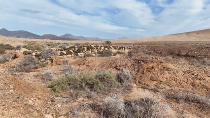 Desert landscape with dry vegetation, mountains in the background, and a wide sky