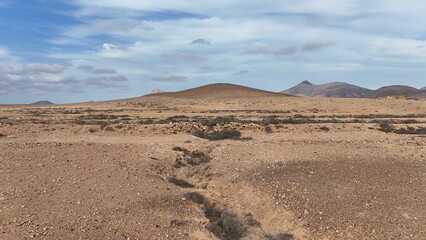 Desert landscape with dry vegetation, mountains in the background, and a wide sky