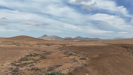 Desert landscape with dry vegetation, mountains in the background, and a wide sky