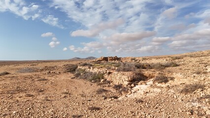 Desert landscape with dry vegetation, mountains in the background, and a wide sky