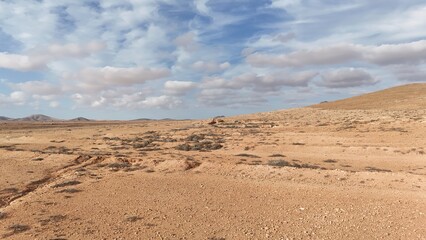 Desert landscape with dry vegetation, mountains in the background, and a wide sky