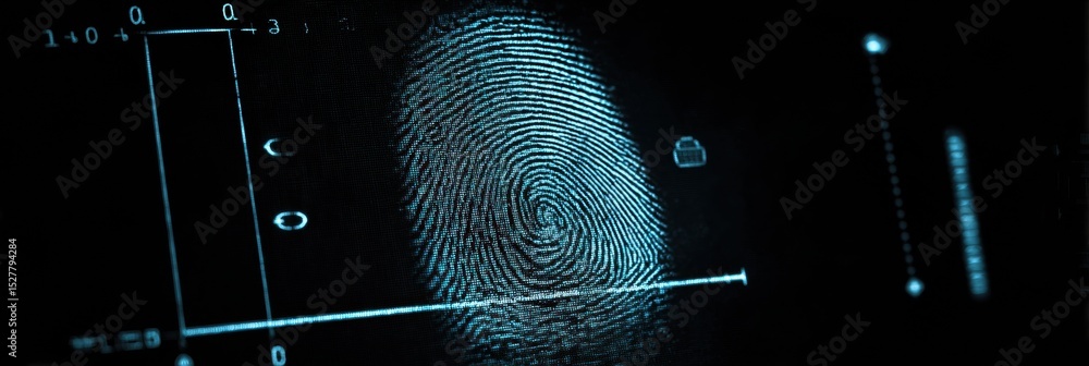 Poster Biometric Scan Captured by Fake App Reveals Vulnerabilities and Risks in Digital Security Protocols