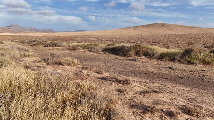 Desert landscape with dry vegetation, mountains in the background, and a wide sky
