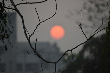 Blazing red sun obscured by haze or smoke, framed by bare tree branches.