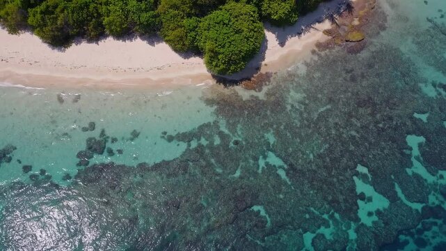Aerial View of Isla Holbox Beach with Turquoise Water, White Sand, and Dense Green Foliage in a Tropical Paradise Setting