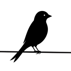 Songbird Silhouette on Wire Line
