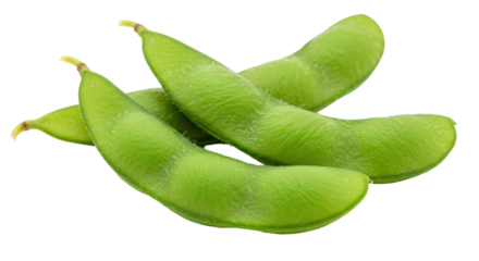 Isolated Edamame Beans