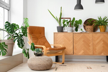 Interior of living room with green plants, commode and armchair
