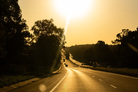 Silhouette of trees beside M15 highway road in golden evening sunlight along Hunter Expressway