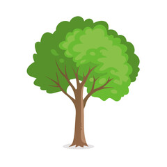  "Ultimate SVG Vector Design Bundle &ndash; Abstract, Geometric, Botanical, Mandala, Minimal, Vintage & Modern Elements for Cricut, Laser Cutting, Sublimation, and DIY Crafts"