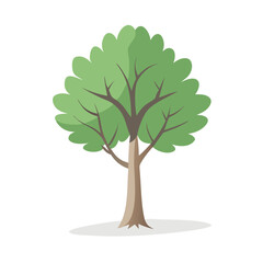  "Ultimate SVG Vector Design Bundle &ndash; Abstract, Geometric, Botanical, Mandala, Minimal, Vintage & Modern Elements for Cricut, Laser Cutting, Sublimation, and DIY Crafts"