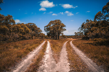 road in autumn