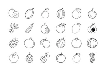 Tropical and Citrus Fruit Line Art Icons, Hand Drawn Outline Vector Set for Healthy Food