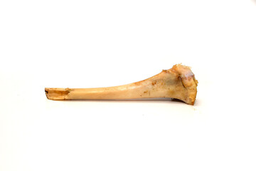 goat bone isolated on white background