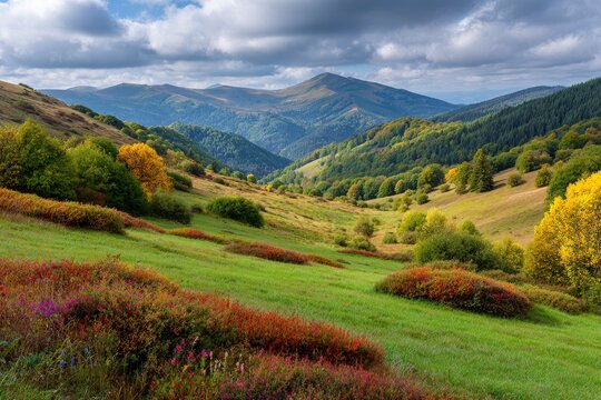 A verdant mountain valley landscape with autumn foliage under a cloudy sky - Powered by Adobe