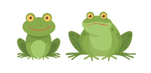 Cute frogs. Flat vector clipart, illustration with isolated background.