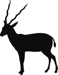 Antelope black silhouette - Realistic animal outline illustration isolated on transparent background