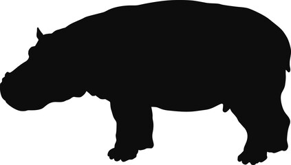 Hippopotamus (Hippo)  black silhouette - Realistic animal outline illustration isolated on transparent background