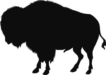 Bison (Buffalo) black silhouette - Realistic animal outline illustration isolated on transparent background