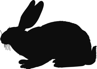 Rabbit black silhouette - Realistic animal outline illustration isolated on transparent background