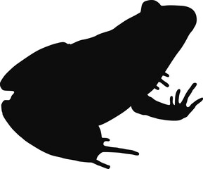 Frog black silhouette - Realistic animal outline illustration isolated on transparent background