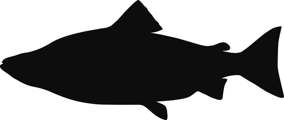 Salmon black silhouette - Realistic animal outline illustration isolated on transparent background