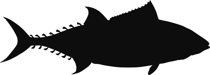 Tuna black silhouette - Realistic tunny outline illustration isolated on transparent background