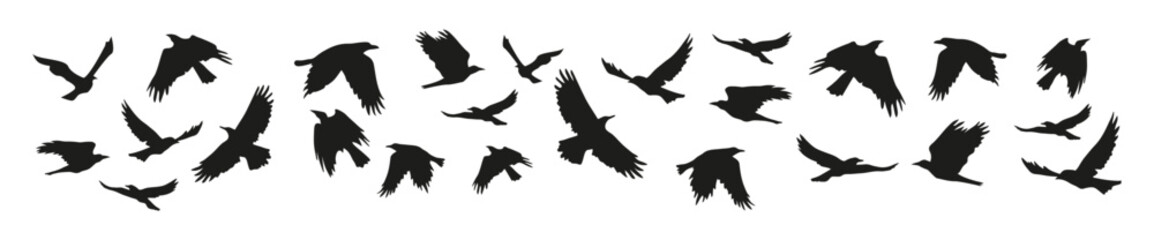 Obraz premium Horizontal border with flock of black crows for Halloween decorations