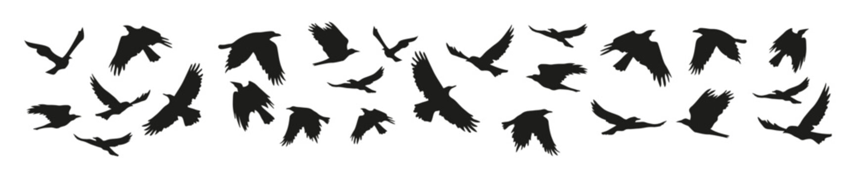 Horizontal border with flock of black crows for Halloween decorations