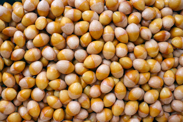 단단한 껍질을 깐 은행 열매