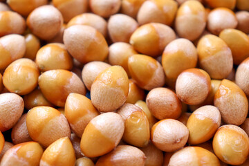 단단한 껍질을 깐 은행 열매