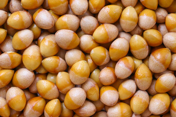 단단한 껍질을 깐 은행 열매