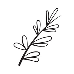 Hand Drawn Black and White Plants Vector Illustration