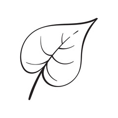 Hand Drawn Black and White Plants Vector Illustration