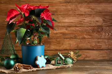 Beautiful Christmas plant poinsettia, decorations and cookie on wooden table